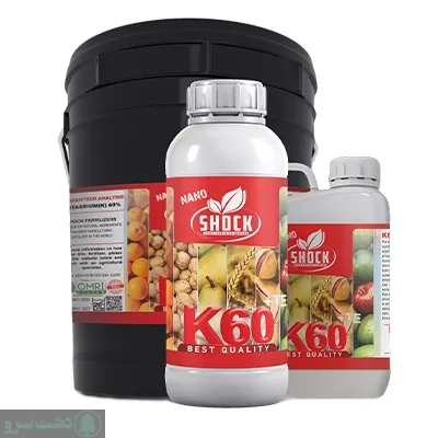 نحوه کاشت توت فرنگی در زمین کشاورزی