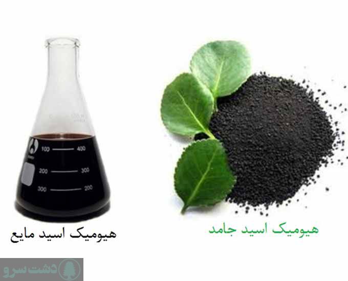 مقدار مصرف هیومیک اسید برای گیاهان آپارتمانی