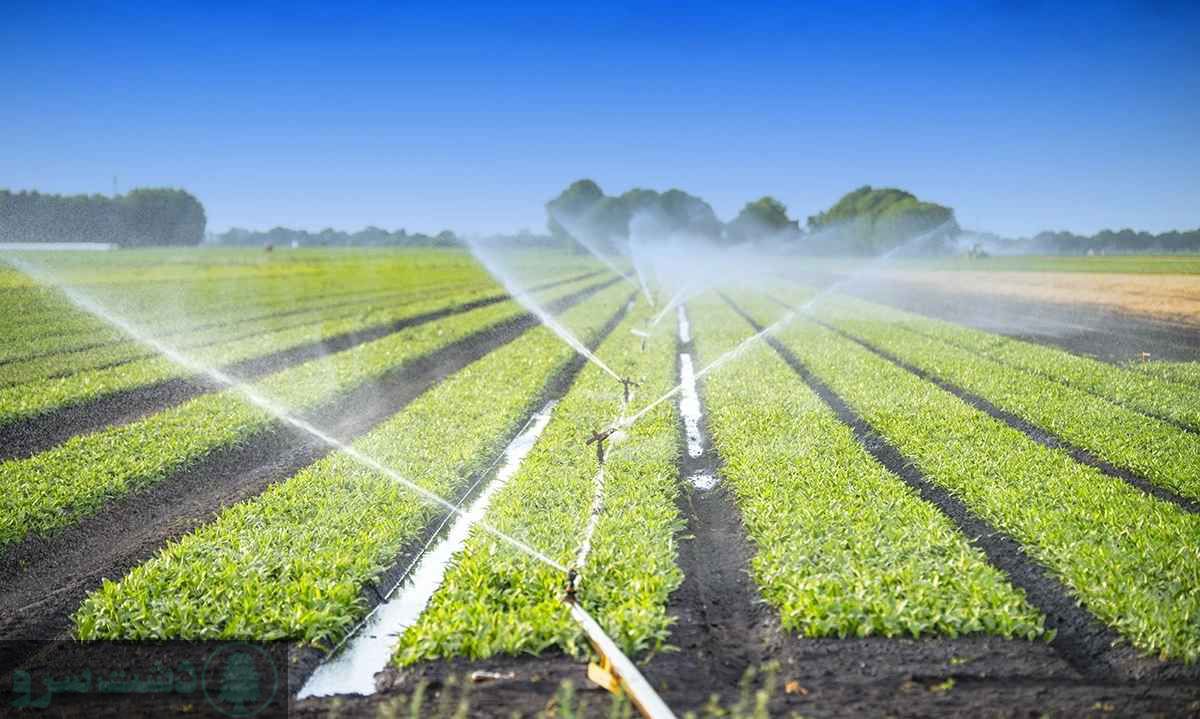 کاشت سبزیجات با آب شور