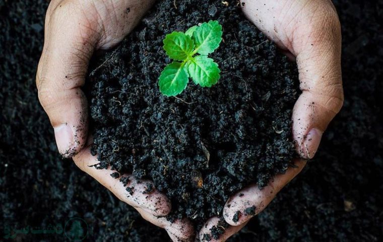 مقدار مصرف اسید هیومیک برای هر درخت