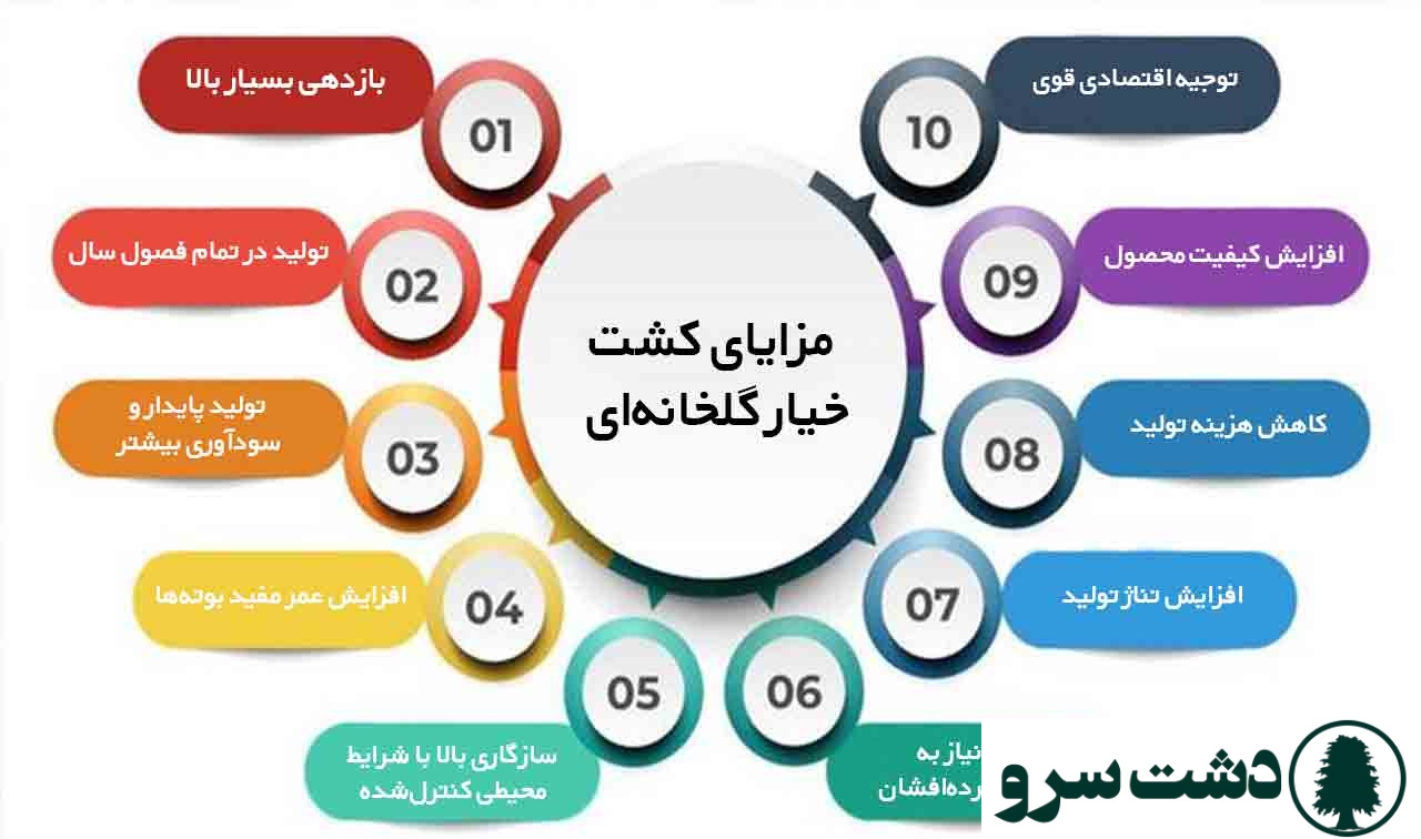 میزان تولید خیار گلخانه ای در 1000 متر