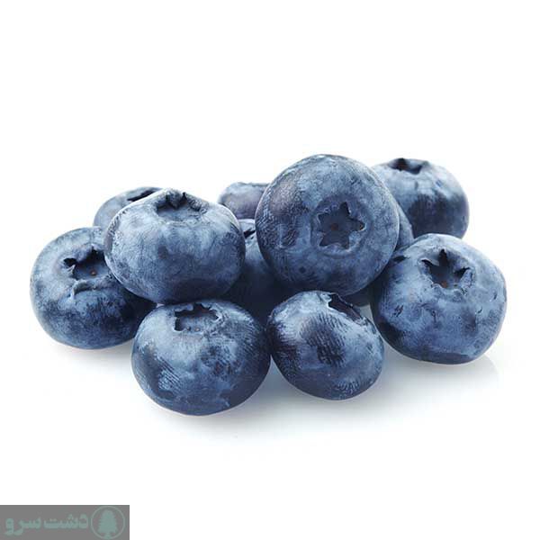 میزان برداشت بلوبری در هکتار
