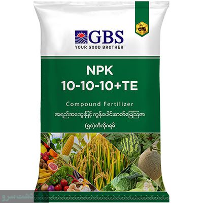 بهترین کود برای پا جوش زدن سانسوریا