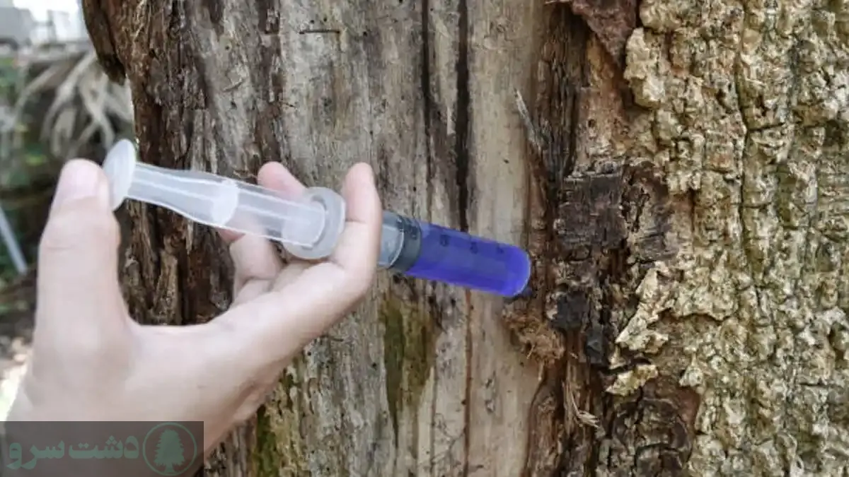 کود برای کلفت شدن تنه درخت