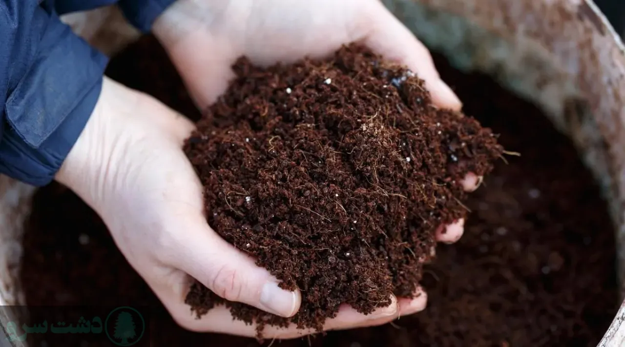 	بهترین زمان مصرف کود پتاس برای انگور