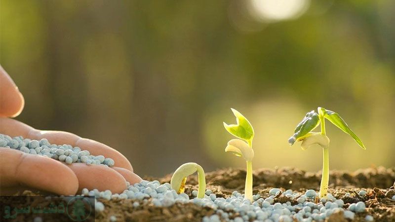 زمان مصرف کود سولفات پتاسیم گرانوله