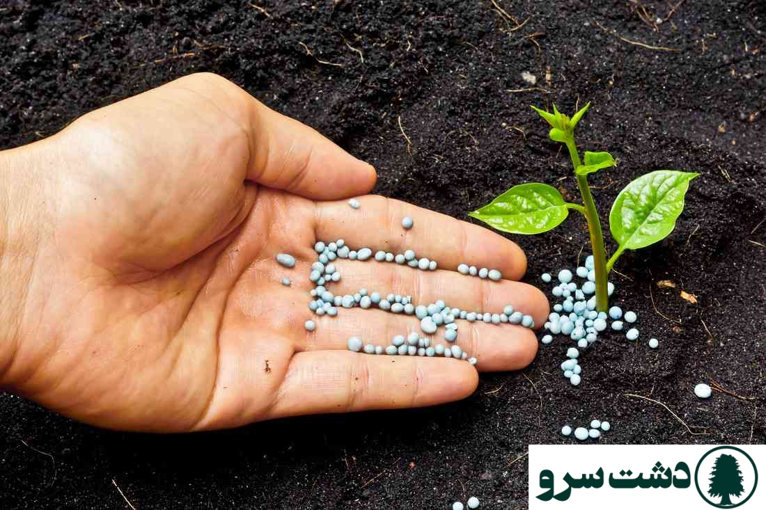 خواص کود اوره برای درختان