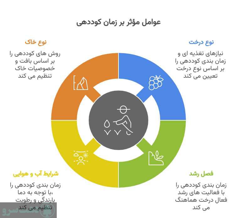 زمان استفاده از کود اوره برای درخت