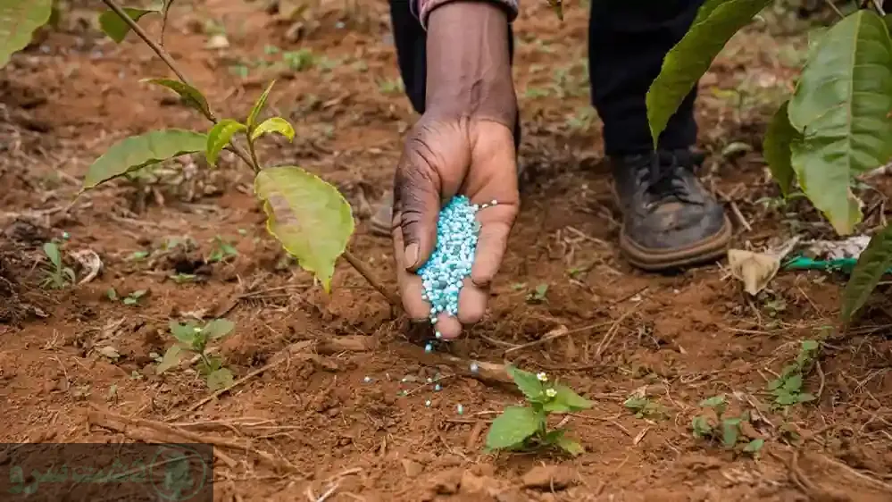 خواص کود اوره برای درختان