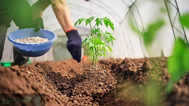 مدت زمان جذب کود اوره