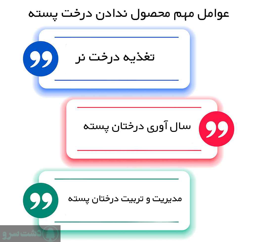 ایا درخت پسته بدون پیوند بار میدهد