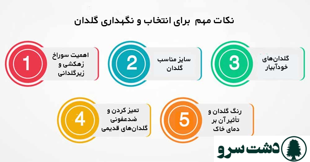 بهترین نوع گلدان برای گلهای اپارتمانی