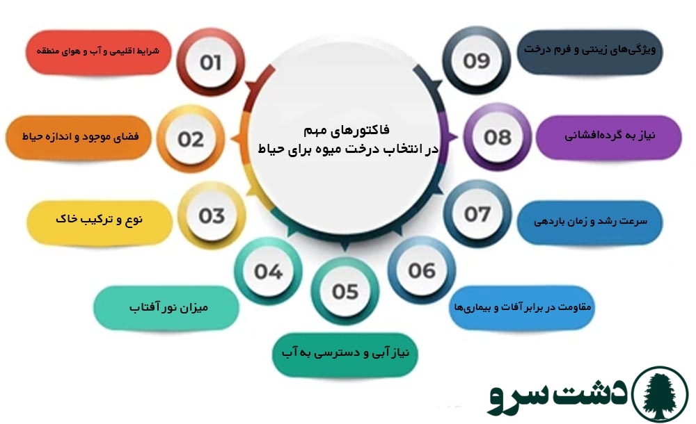 بهترین درخت میوه برای کاشت در حیاط