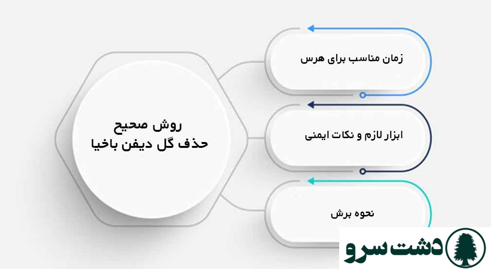 علت گل دادن دیفن باخیا
