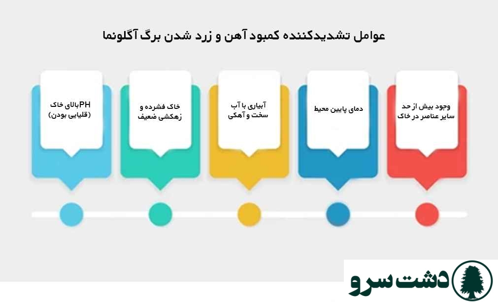 کود آهن برای آگلونما