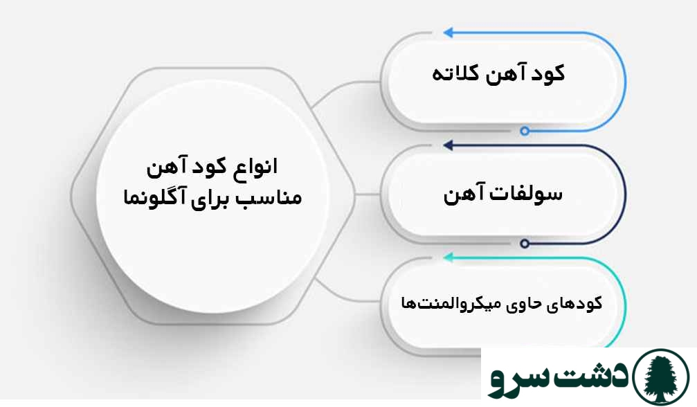 کود آهن برای آگلونما