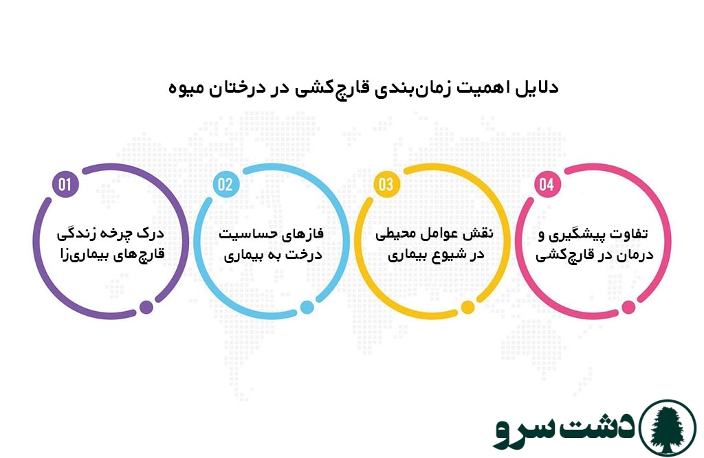 زمان استفاده از قارچ کش در درختان میوه