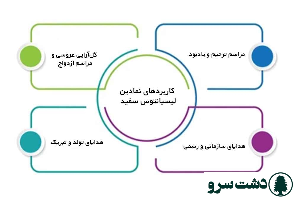 گل لیسیانتوس سفید نماد چیست