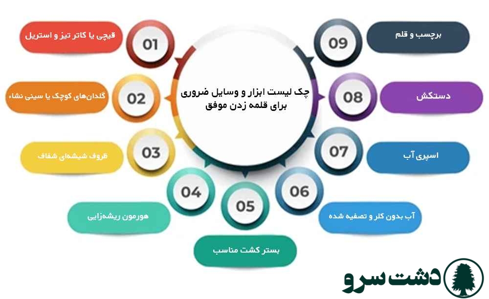روش قلمه زدن انواع گلهای اپارتمانی