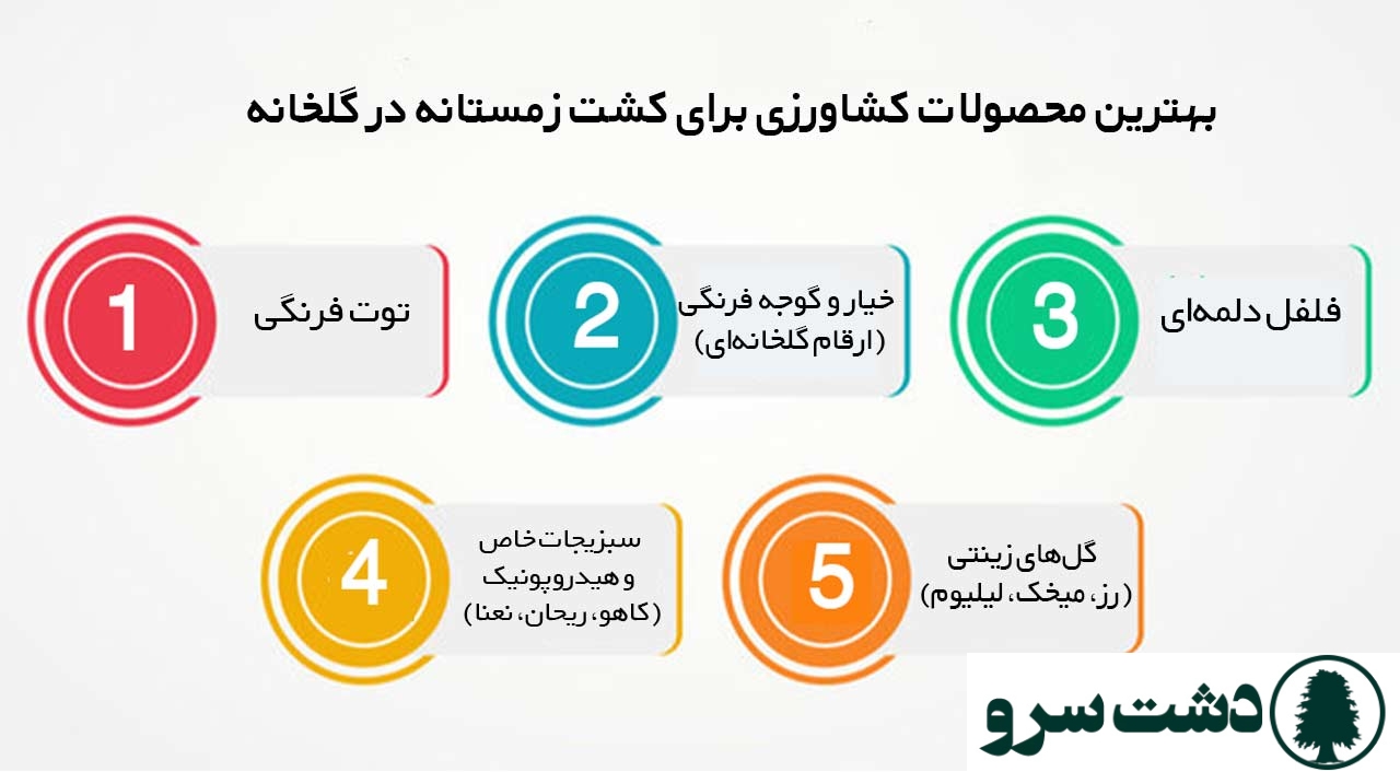 بهترین محصولات کشاورزی سودآور برای کشت زمستانه در ایران