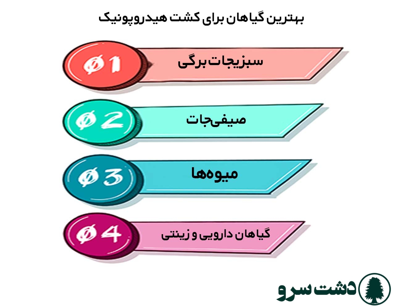 بهترین گیاه برای کشت هیدروپونیک