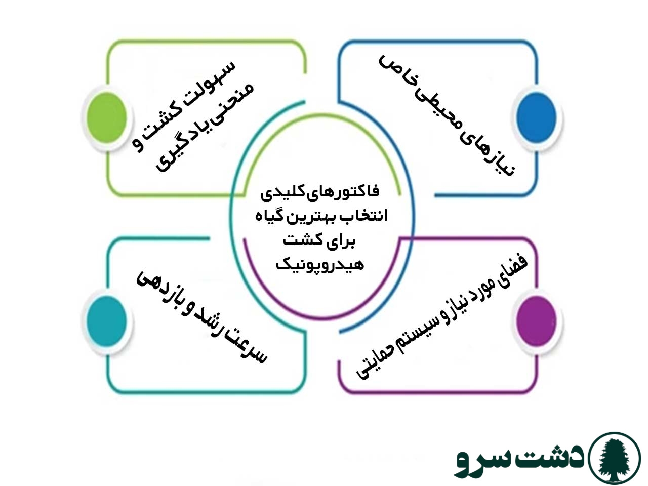 بهترین گیاه برای کشت هیدروپونیک