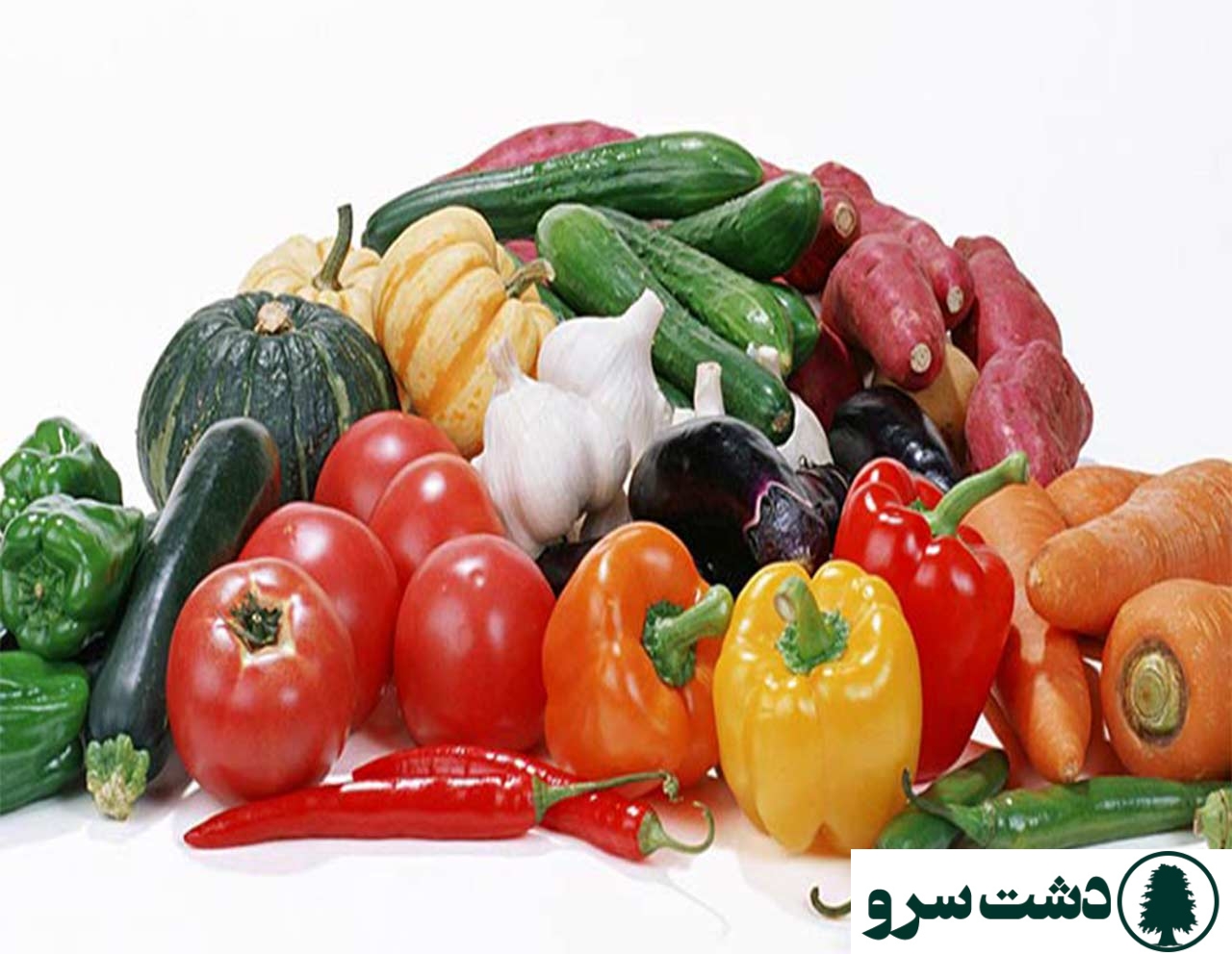 بهترین گیاه برای کشت هیدروپونیک