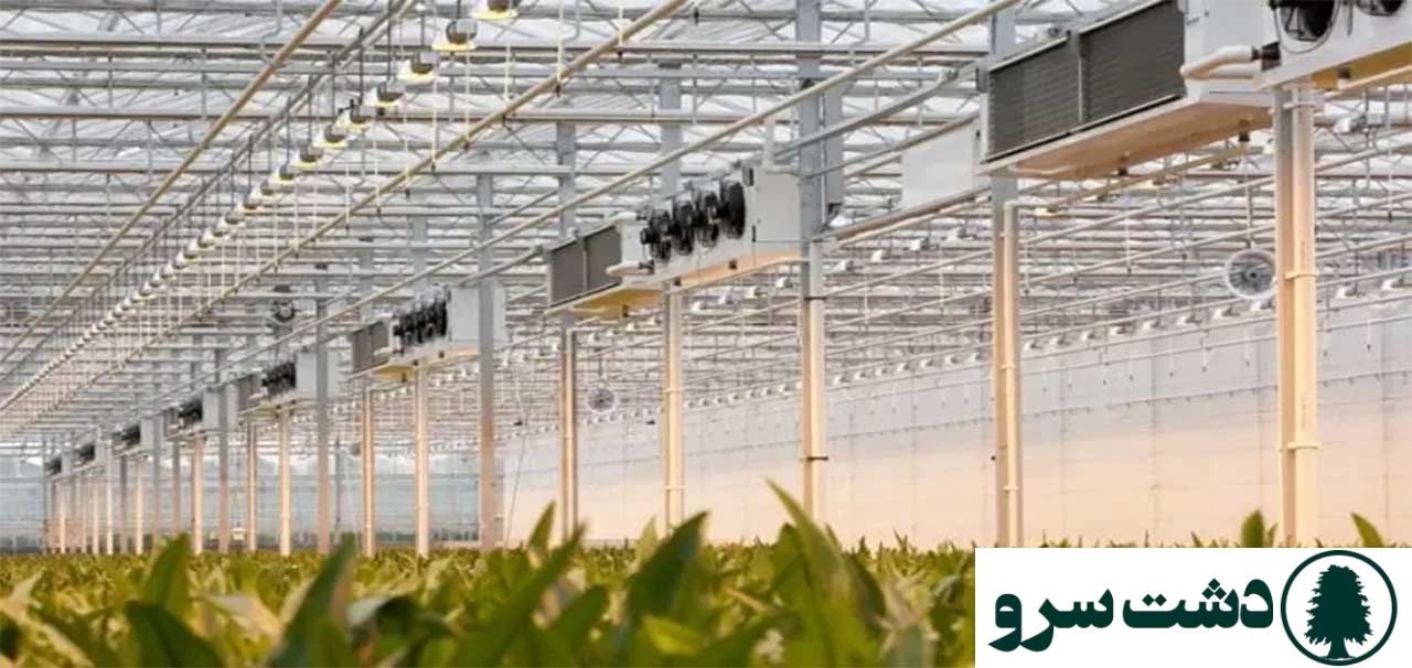 نقش تصفیه آب و تهویه خاک در زمستان برای گیاهان گلخانه‌ای