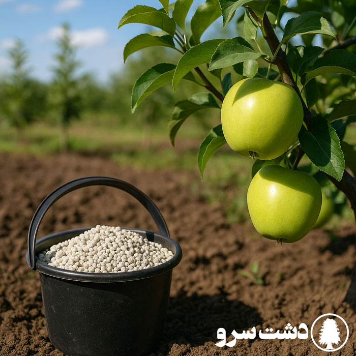 بهترین کود برای درختان میوه