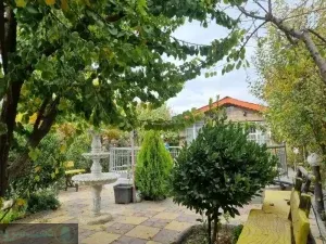 بهترین درخت برای باغ ویلا