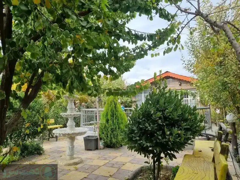 بهترین درخت برای باغ ویلا