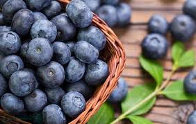 میزان برداشت بلوبری در هکتار