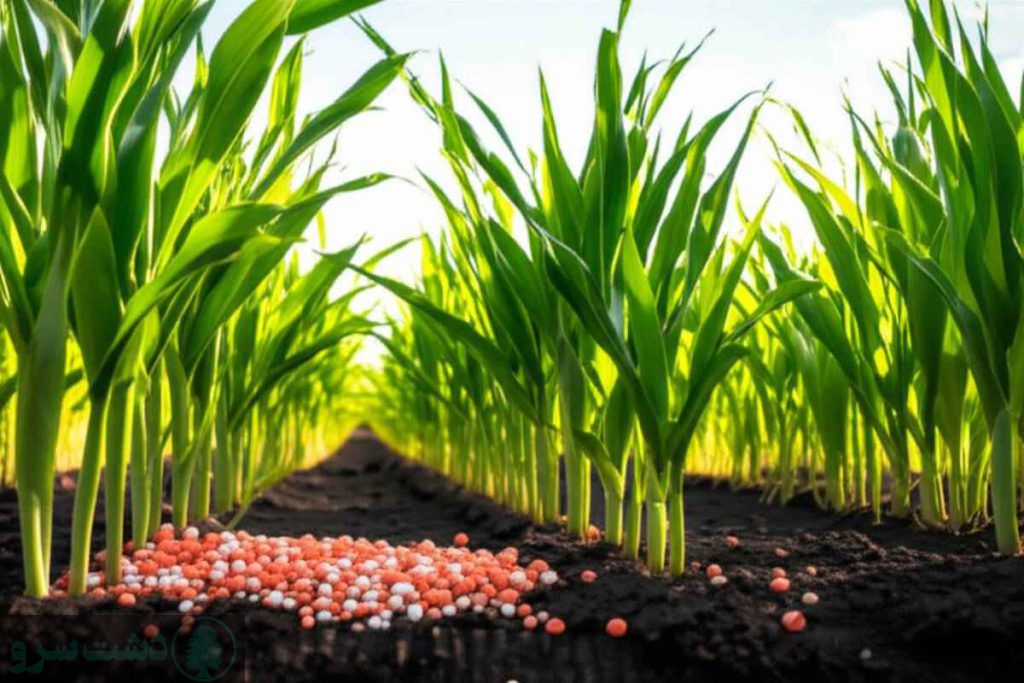 میزان مصرف کود پتاس در هکتار